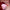 XUNAN Strawberry Sucking & Licking Vibrator for Women
